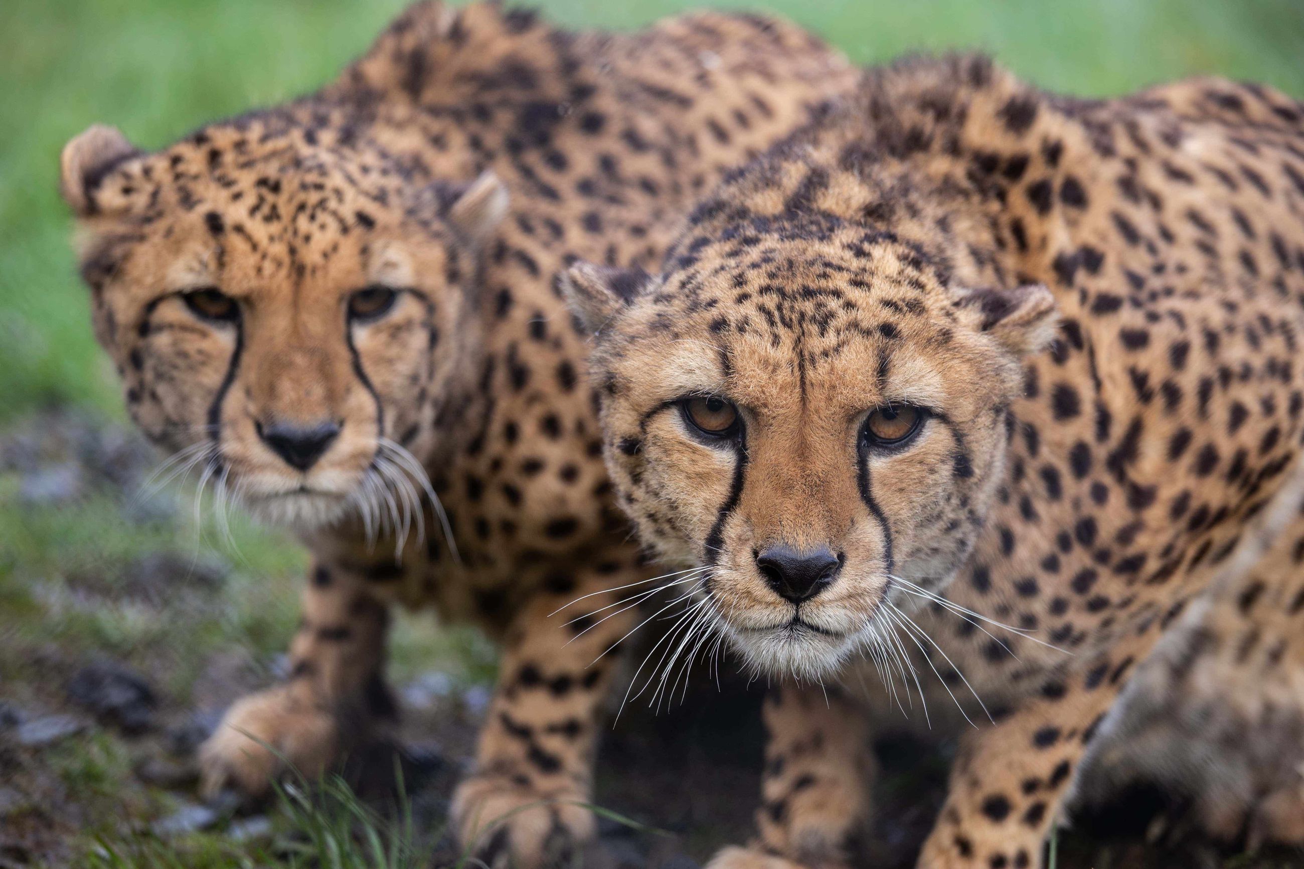 FdA Game Art University Centre SGS